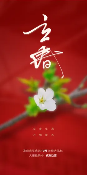 立春海报素材高端地产分节气