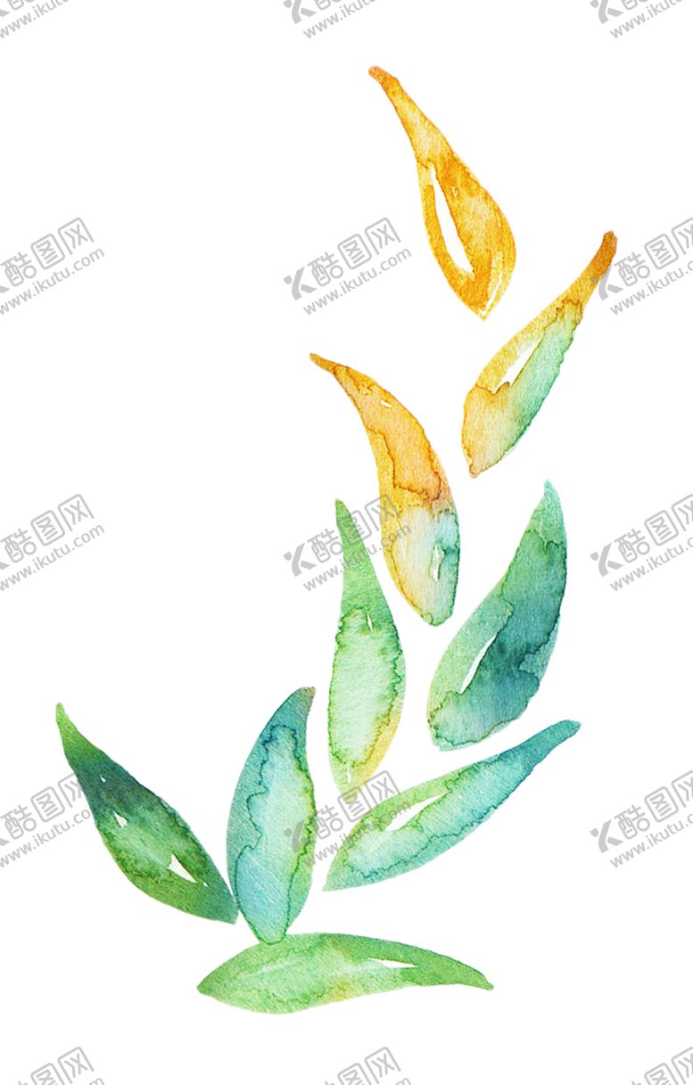 编号：57147706172138372247【酷图网】源文件下载-水彩植物