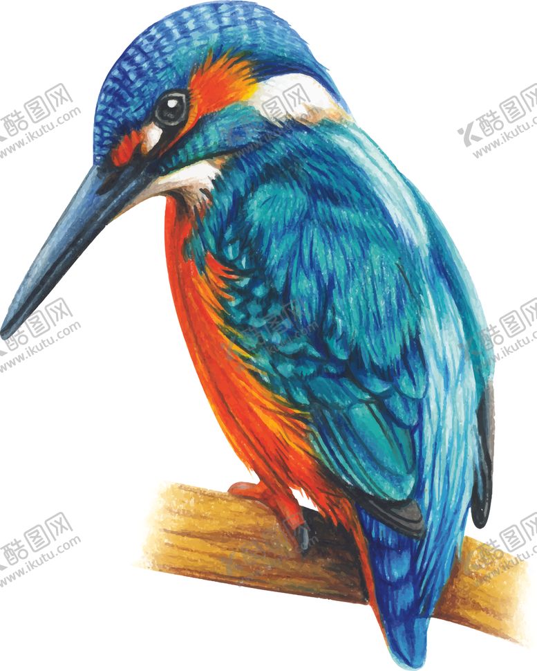 编号：67220210301004117180【酷图网】源文件下载-小鸟插画