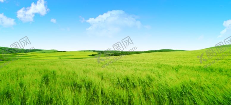 编号：97132410080114028715【酷图网】源文件下载-草原