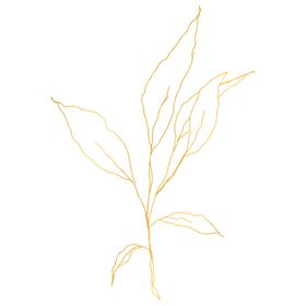 手绘花 花纹