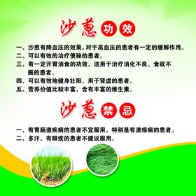 沙葱广告