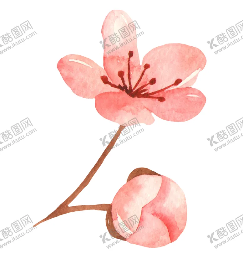 编号：57551507010234018749【酷图网】源文件下载-水彩绘画花朵