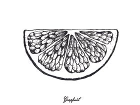 素描水果