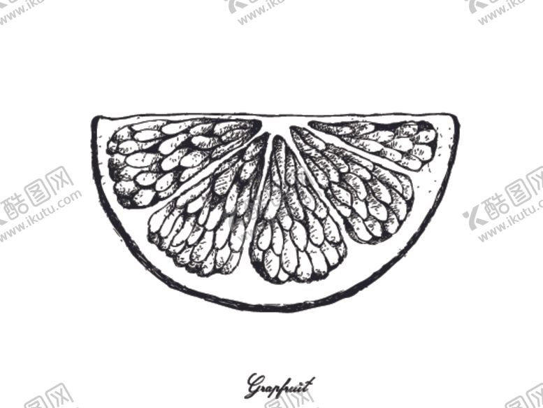 编号：19340709282323359425【酷图网】源文件下载-素描水果