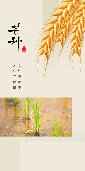 芒种素材地产微信转发节日
