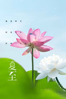 夏至传统节气宣传素材