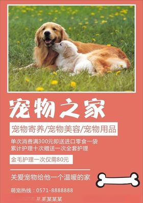 宠物之家海报
