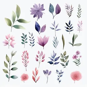 水彩手绘花卉植物集合