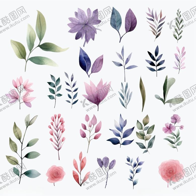编号：32350611191403336213【酷图网】源文件下载-水彩手绘花卉植物集合