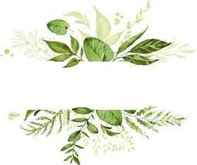手绘植物叶子