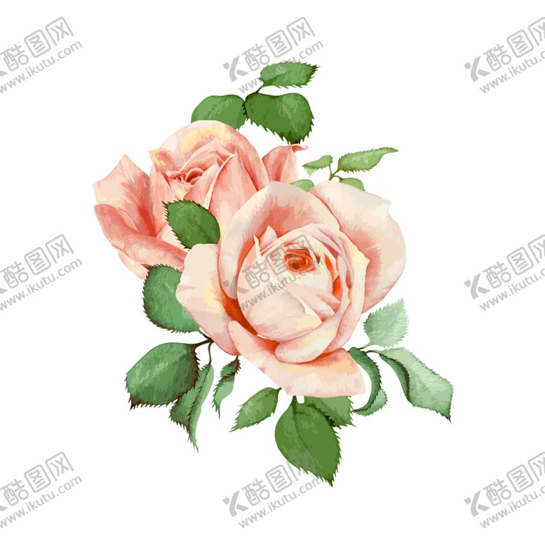 编号：13310406282214283937【酷图网】源文件下载-花素材