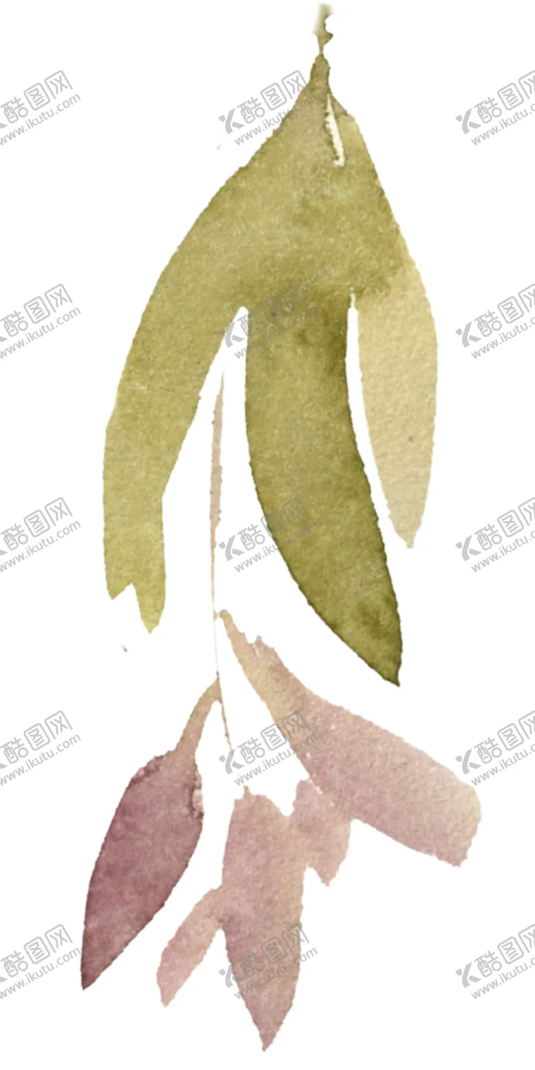 编号：16750907020244159761【酷图网】源文件下载-花卉树叶
