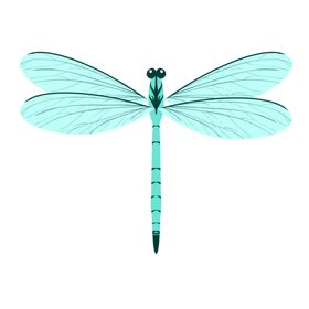 蜻蜓