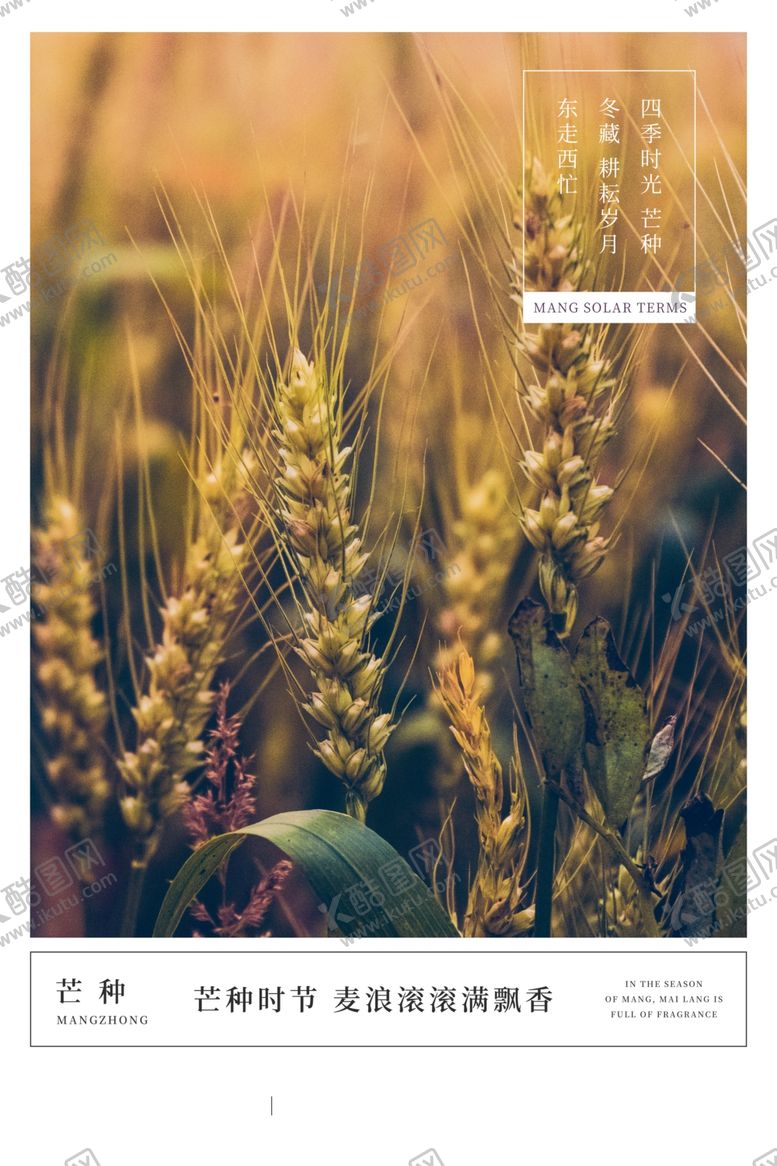 编号：50466209262015003869【酷图网】源文件下载-芒种海报