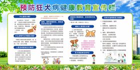 狂犬病暴露后预防处置流程图