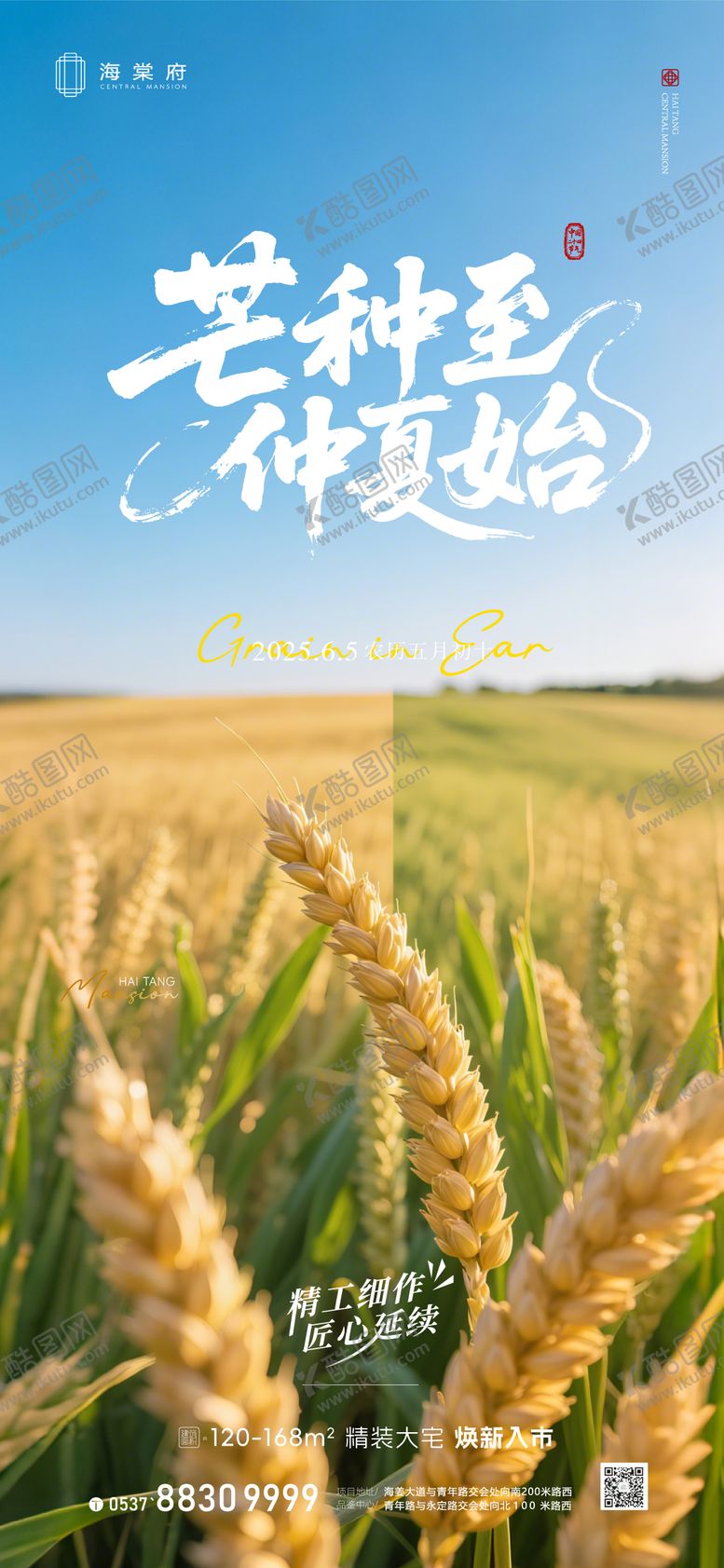 编号：65984806151936004070【酷图网】源文件下载-地产芒种节气海报