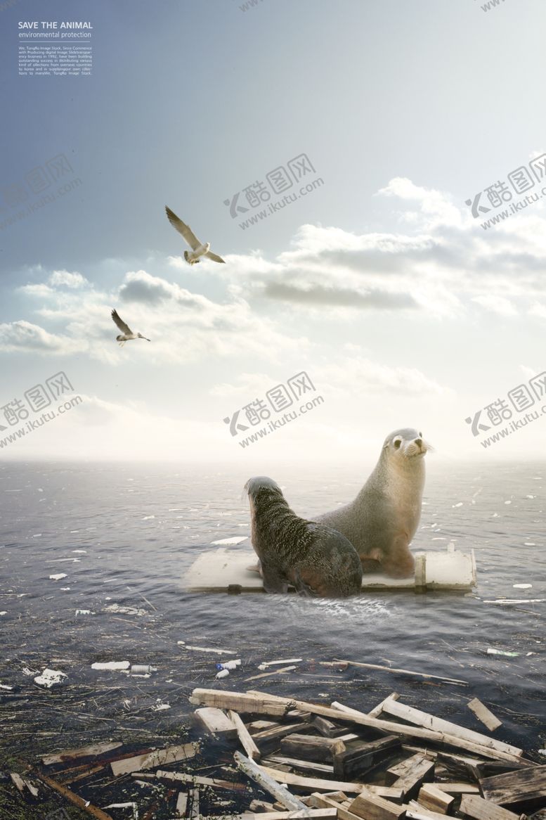 编号：52860109241928079812【酷图网】源文件下载-保护野生动物