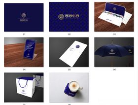 地产VI标志楼盘案名提案