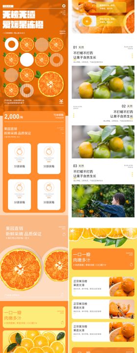 果冻橙详情页海报