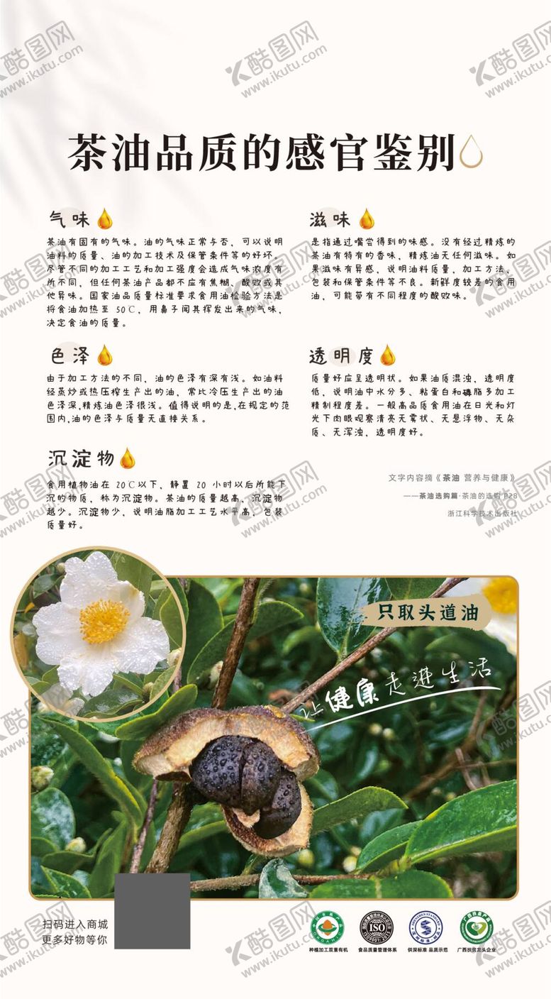 编号：31249310221749489594【酷图网】源文件下载-山茶油 