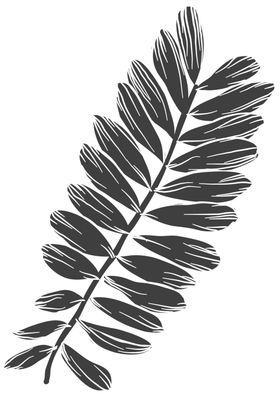 手绘植物花卉