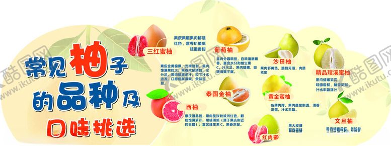 编号：42473511200331457205【酷图网】源文件下载-食品购物的品牌选择指南