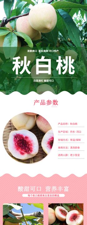 秋白桃页面