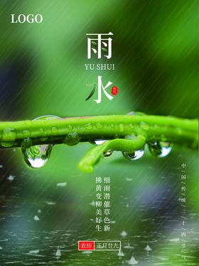 雨水节气海报