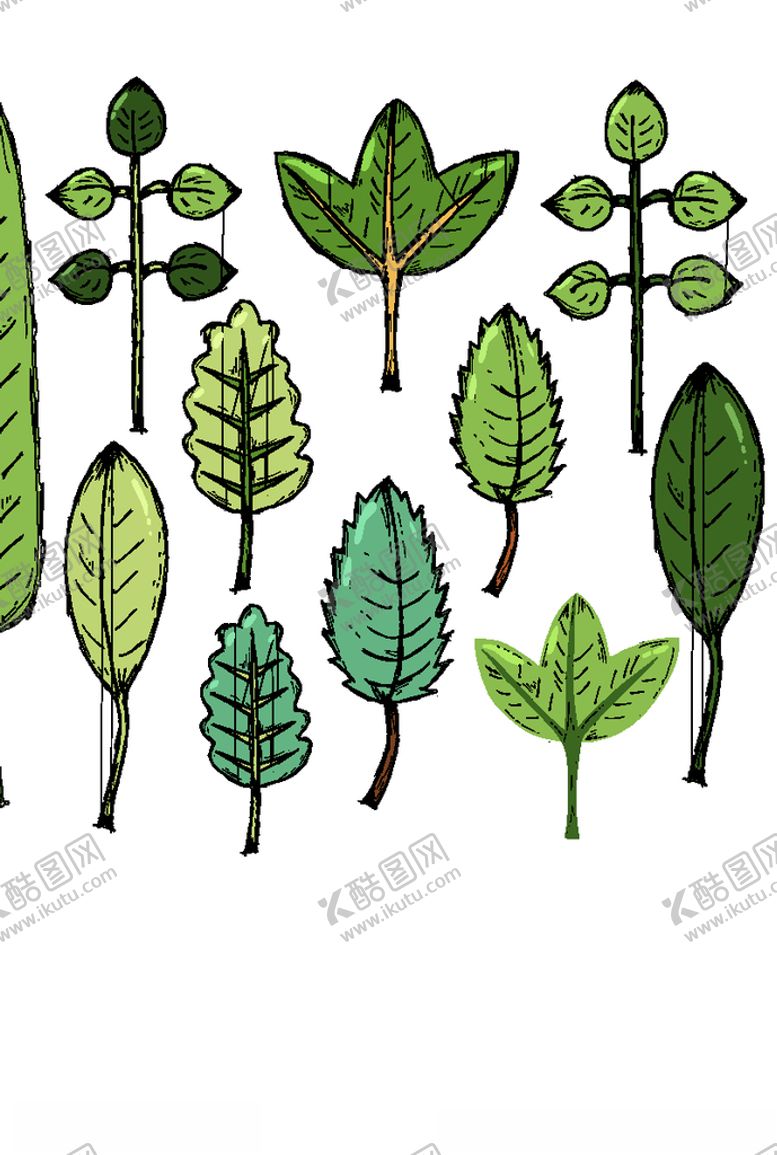 编号：84494611012209479237【酷图网】源文件下载-植物树叶
