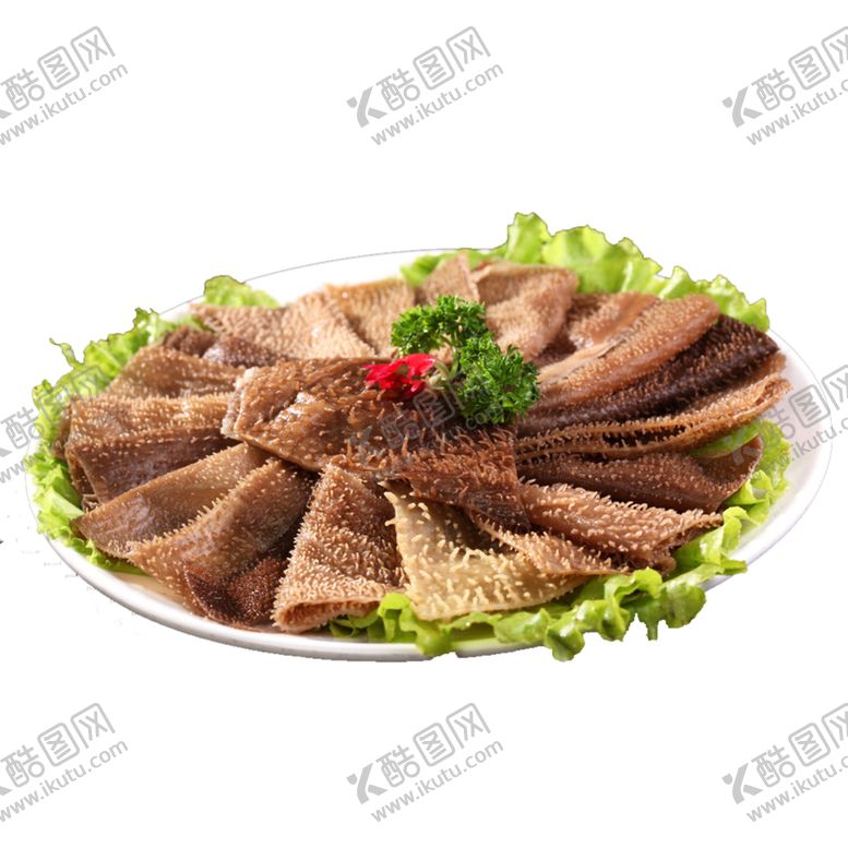 编号：75492209150049196158【酷图网】源文件下载-毛肚