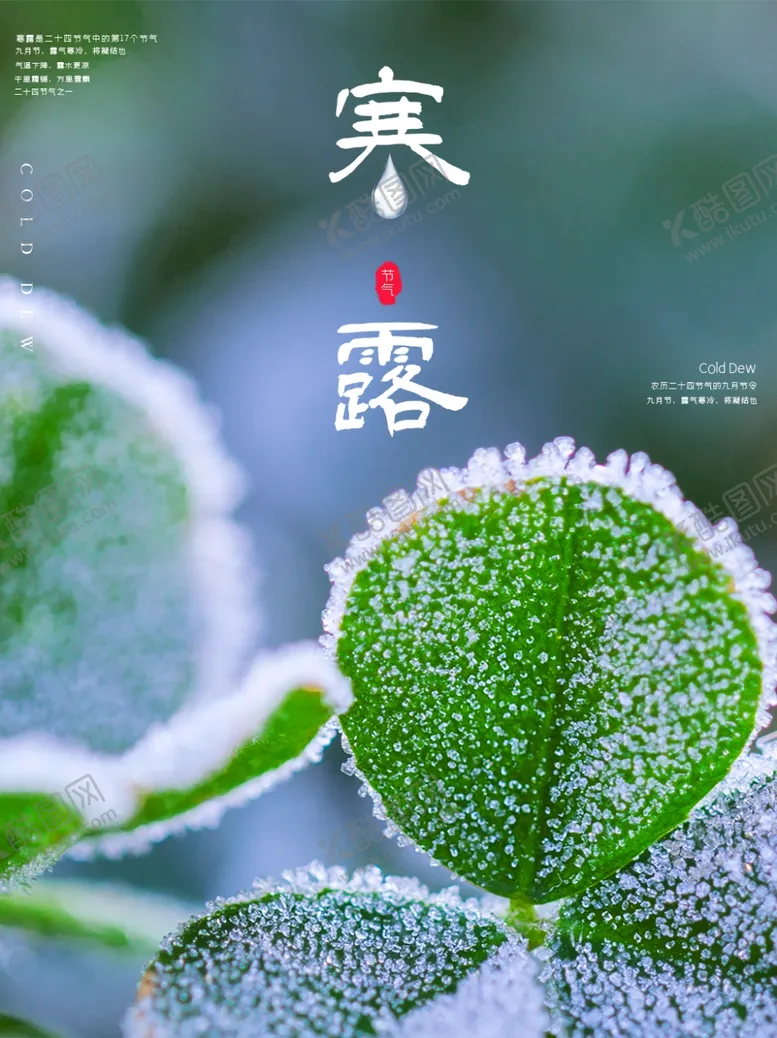 编号：66199404220212505595【酷图网】源文件下载-清新寒露宣传海报