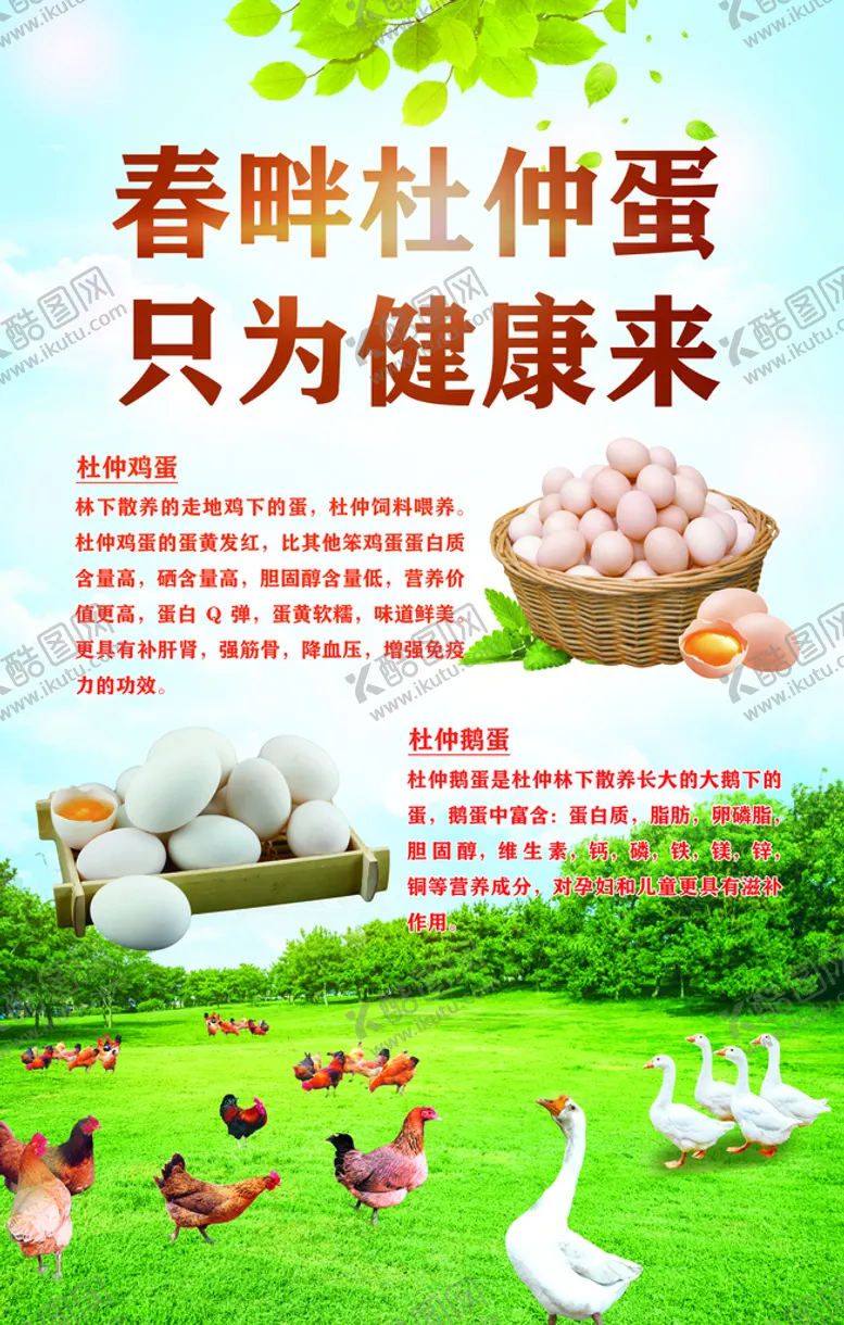 编号：26226810270647289493【酷图网】源文件下载-农家土鸡蛋