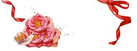 水花