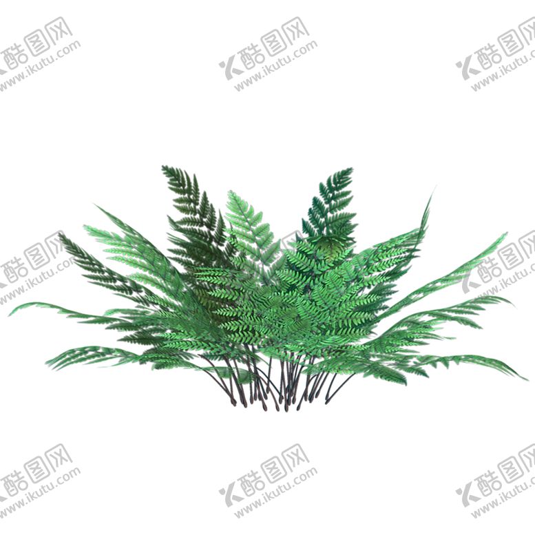 编号：59736911011332368342【酷图网】源文件下载-绿色相框