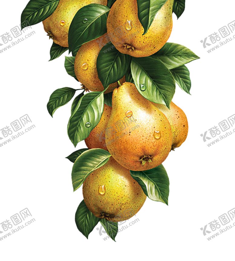 编号：94943110301812231263【酷图网】源文件下载-水果
