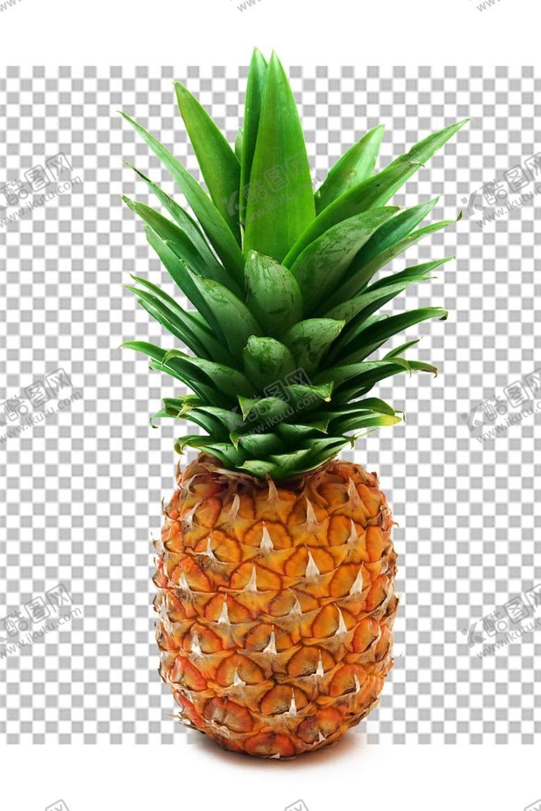 编号：29625709300216535389【酷图网】源文件下载-菠萝