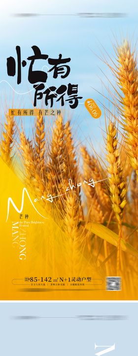 芒种节气海报麦穗系列简约