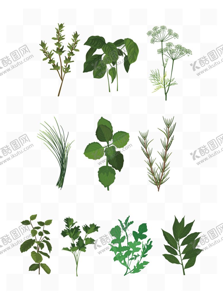 编号：30749109180037206427【酷图网】源文件下载-草药叶子