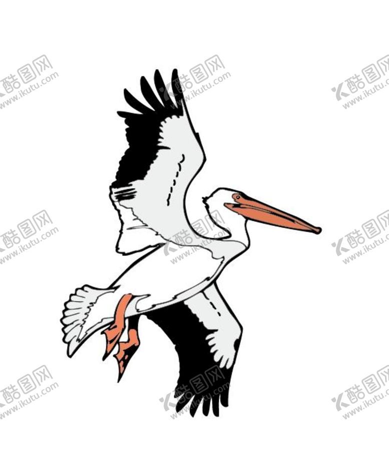 编号：03291409171626571570【酷图网】源文件下载-鸟类