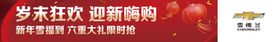 编号：87236909241331555703【酷图网】源文件下载-比亚迪 横幅