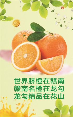 橙子海报