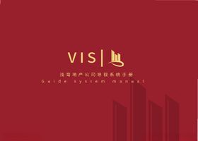 VI样机