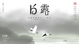 白露海报