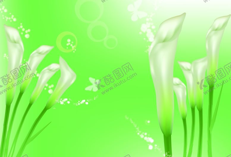 编号：58971605140426147944【酷图网】源文件下载-郁金香花骨朵