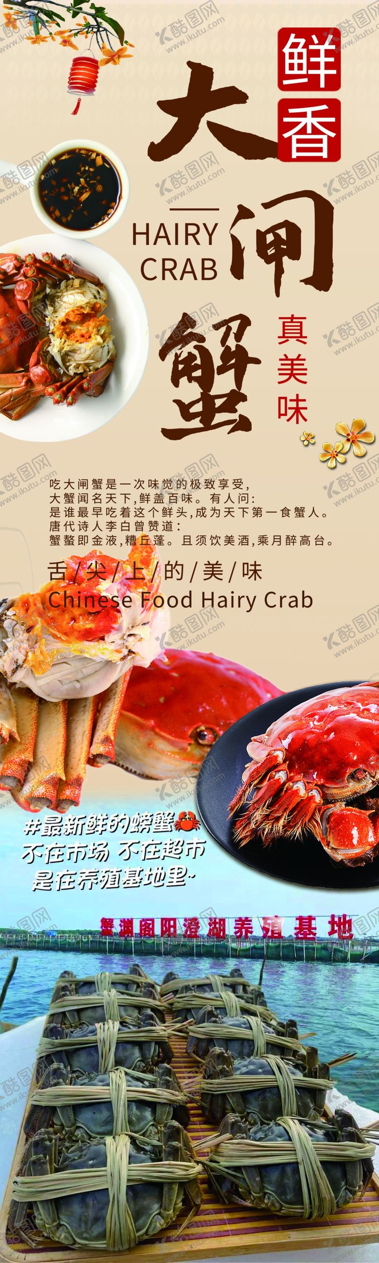 编号：96115304021112361565【酷图网】源文件下载-大闸蟹