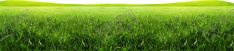 编号：70654210141644365182【酷图网】源文件下载-绿色图片