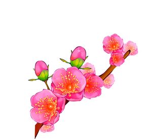 鲜花装饰