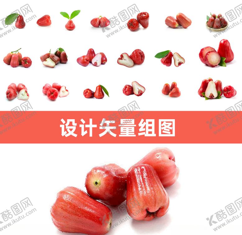 编号：10890710200037513848【酷图网】源文件下载-莲雾矢量图