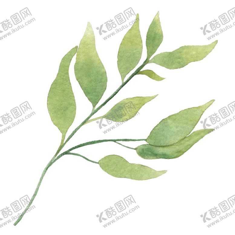 编号：49449106240524327668【酷图网】源文件下载-手绘植物